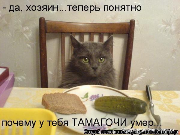 409401_392484.jpg