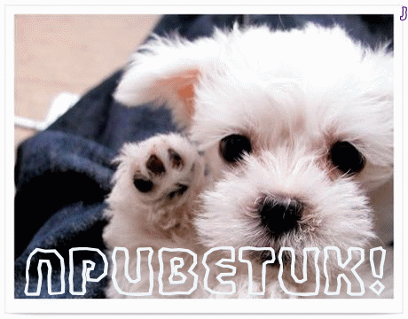 BEpj8816ZUA8p181146AfCU3W8NTZM.gif
