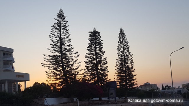 20170615_200126.jpg