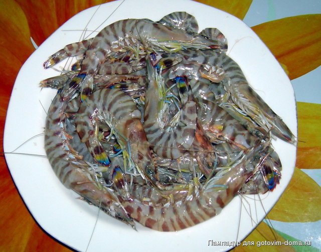 DSCN8696.JPG