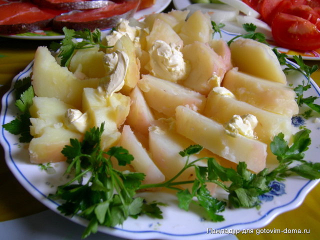 DSCN1956.JPG