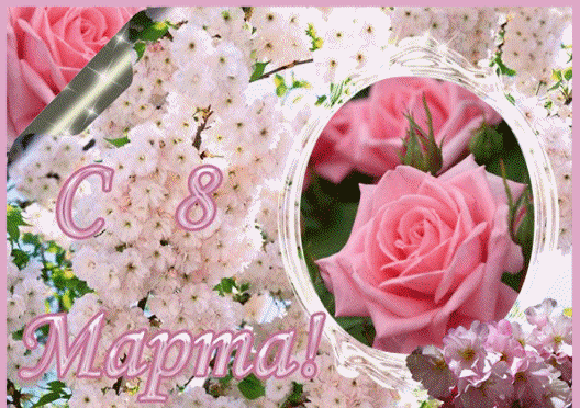 C 8 marta.gif