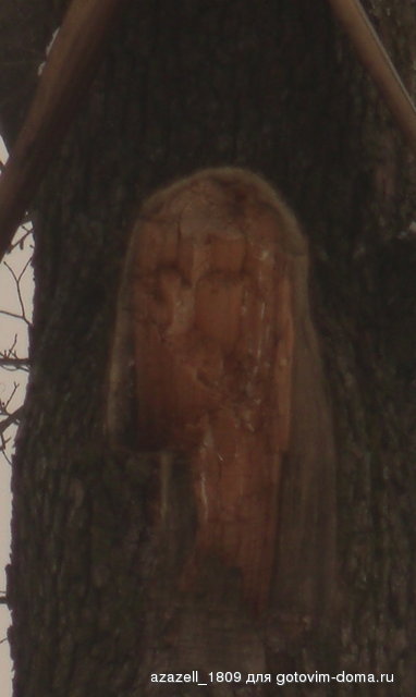 CIMG0449.JPG