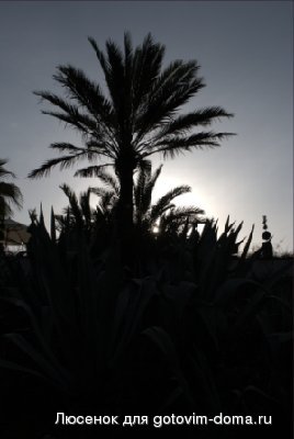 DSC_1248.jpg