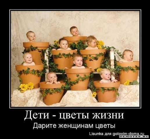 getImage4.jpg
