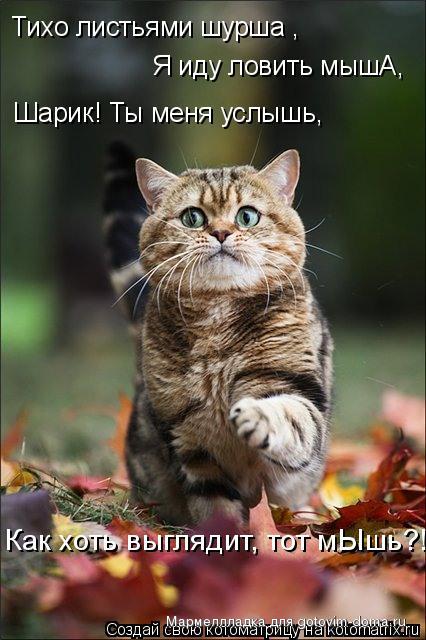 795558.jpg