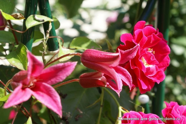 DSC04822.JPG
