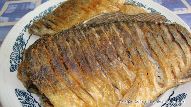 Караси.JPG