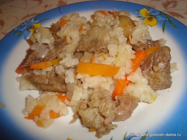 DSC00210.JPG
