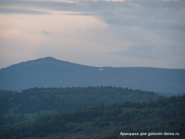 P5010131.jpg