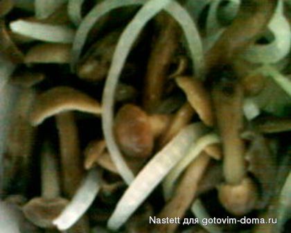 IMG0247B.jpg