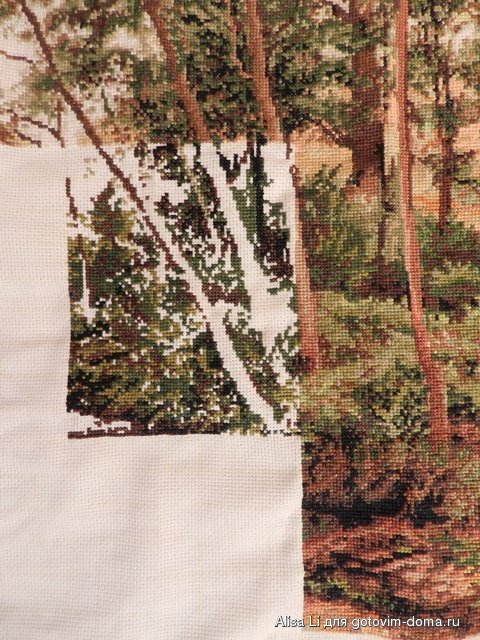 DSCN1793.JPG