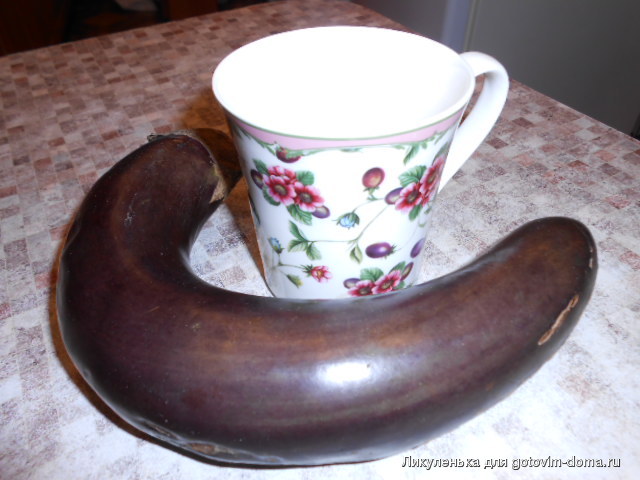 DSCN7667.JPG