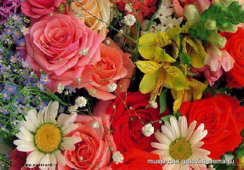 1001881874_inogda[1].jpg
