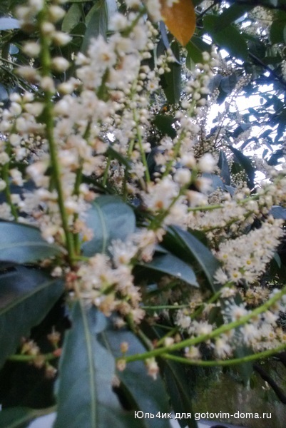 WP_20140321_003.jpg
