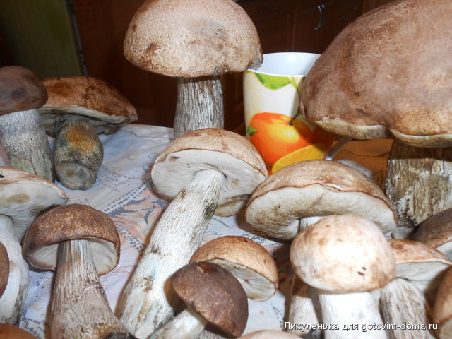 DSCN2172.jpg
