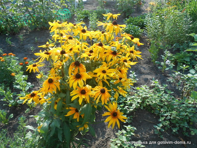 DSCN1605.jpg