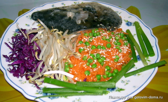 DSCN9678.JPG
