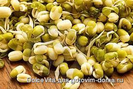 Mung_sprout.jpg