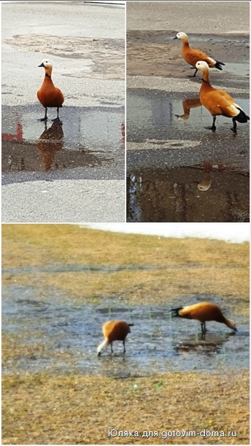 20160329_180451.jpg