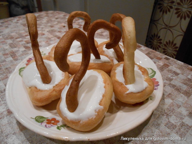 DSCN0343.JPG