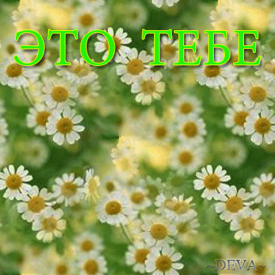 312213079.gif