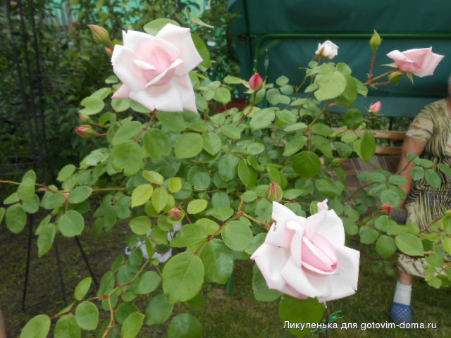 DSCN0096.JPG