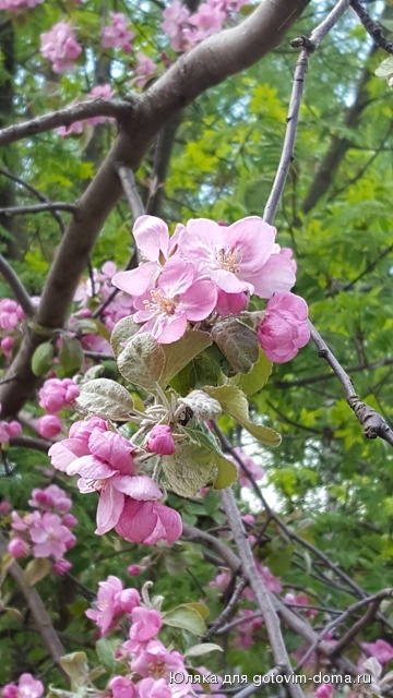 20160511_121001.jpg