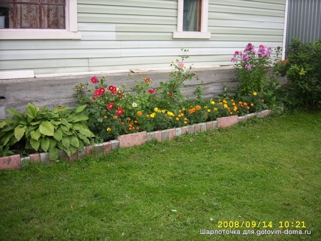 SPA55957.JPG