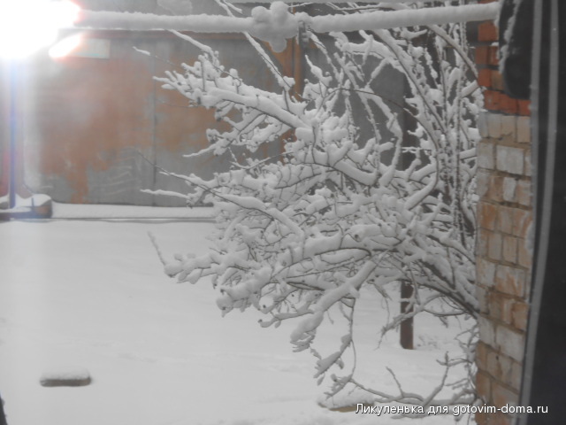 DSCN0954.JPG