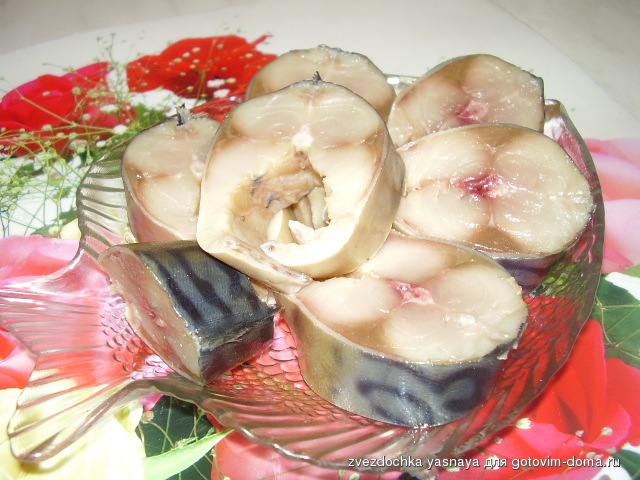 P1010257 (2).JPG