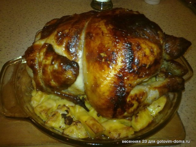15112011528.jpg