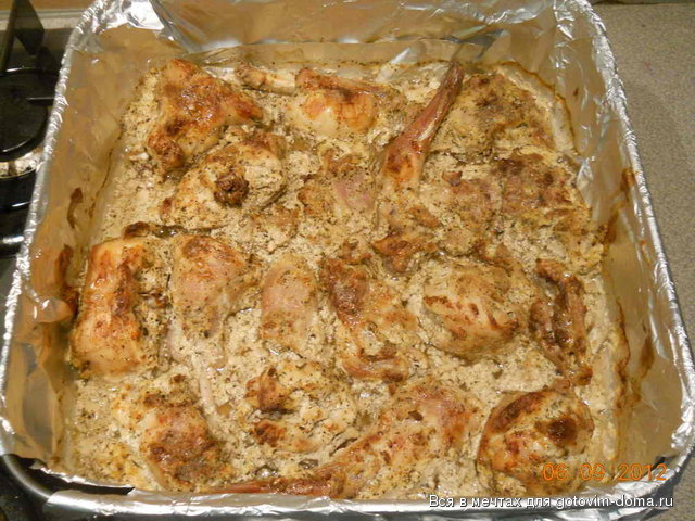DSCN2515.jpg