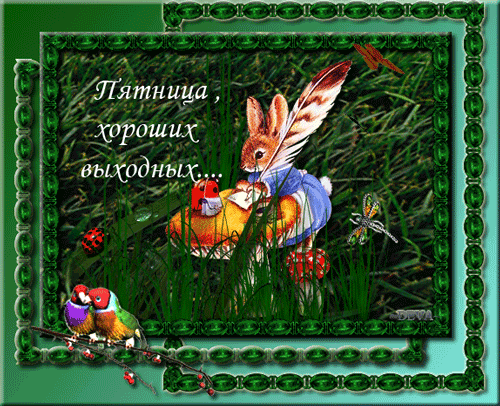 75539747_4348076_4hor_vih.gif