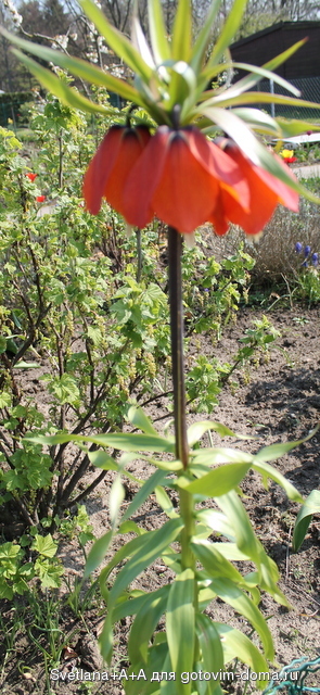 IMG_6640.JPG