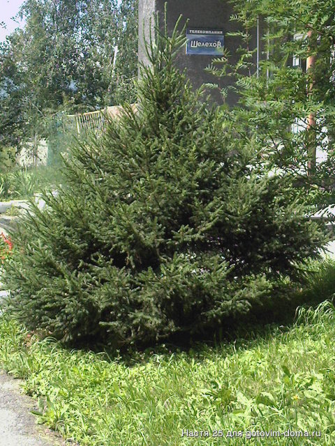 Photo-0084.jpg