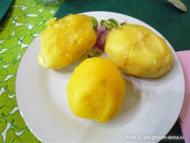 P1310962.JPG