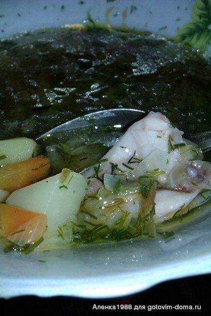 IMAG0388.jpg