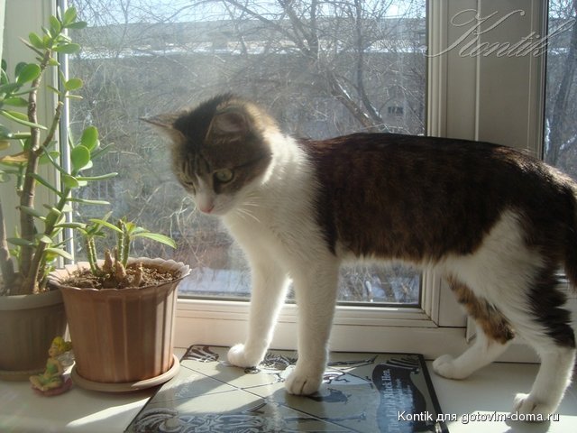 DSC04227.JPG