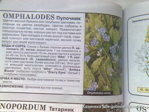 130.jpg