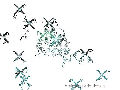 06.gif