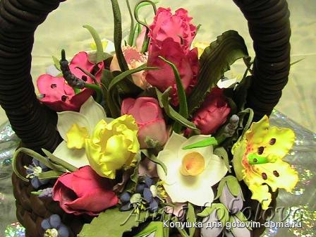 IMG_1187.jpg