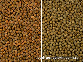 Chickpea.jpg