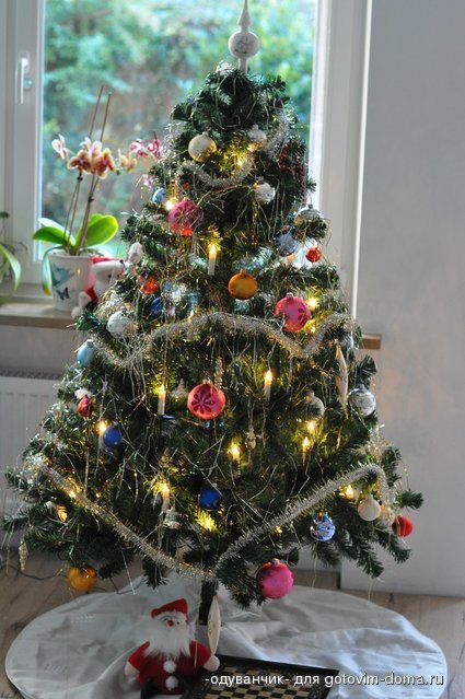 DSC_2753.JPG