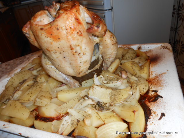 DSCN8663.JPG