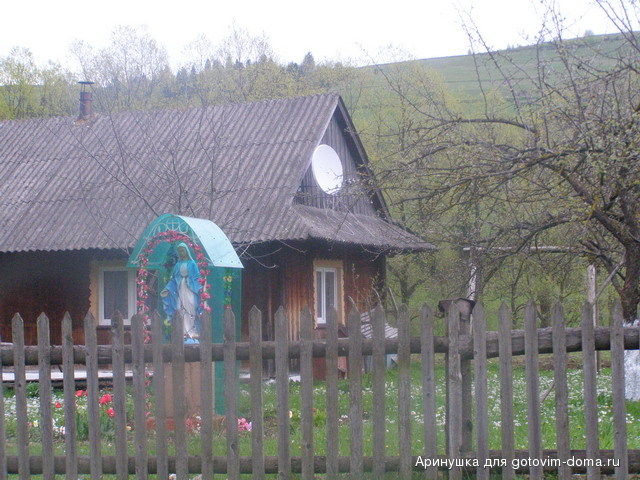 P5010096.jpg