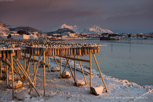 Lofoten30.jpg