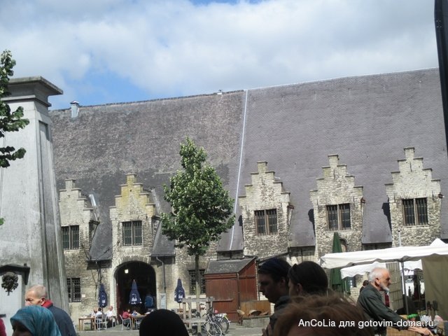 IMG_3336.jpg