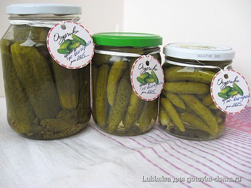 огурци по-венгерски.jpg