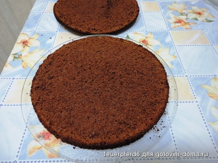 torte 003.jpg